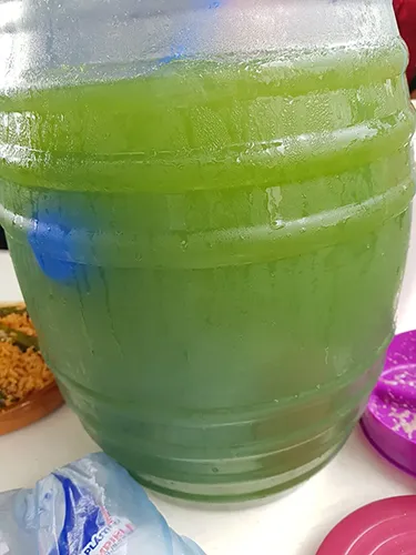 Agua de hojas de amaranto (Muestra gastronómica en México)